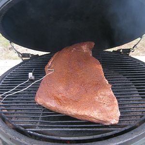 Brisket