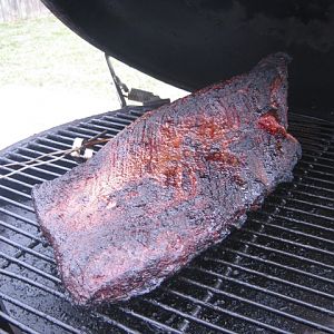 Brisket