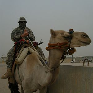 Riding Camel
