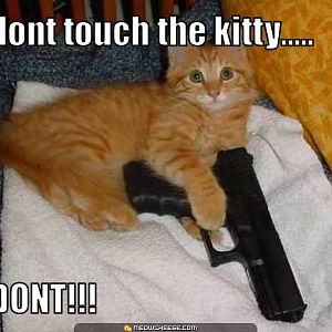 kitty-gun