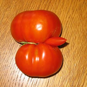 Tomato porn