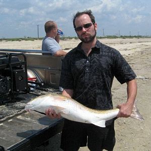 Red Fish with a Beard