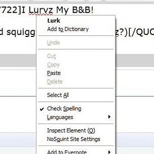 Lurvz 2 dictionary