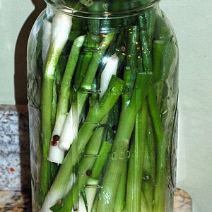 pickled green onion