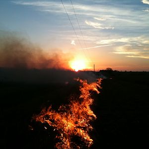 KS pasture burn 1