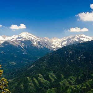 The Sierras