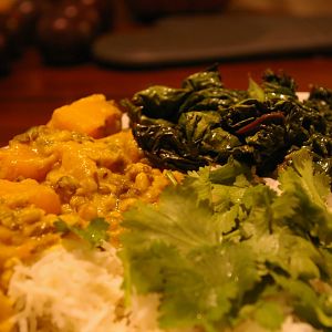 Acorn and Futsu Squash with sprouted mung bean in coconut curry with red chard roasted in ghee on ba