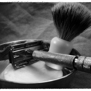 SOTD8Feb2014