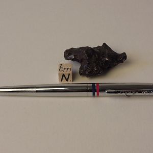 ag-7 Fisher pen