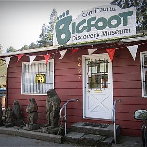 Bigfoot Museum