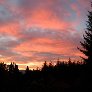 Sweet Home Oregon Sunrise