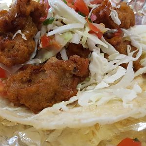 oyster taco1