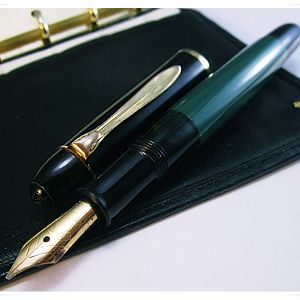 Pelikan 120