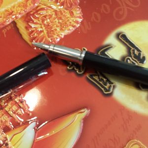 Parker Vector Fountain Pen