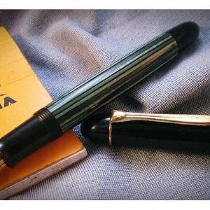 Pelikan140