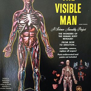 Visible_Man