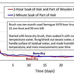 Drying Hanging Boar Brush Mass vs. Time