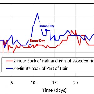 Drying Hanging Boar Brush Temperature vs. Time