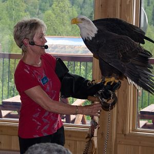 EagleLady1