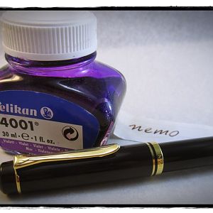 Purple Pelikan