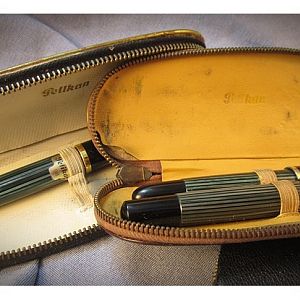 Pelikan cases