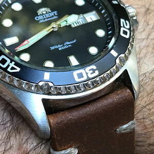 Orient ray.JPG