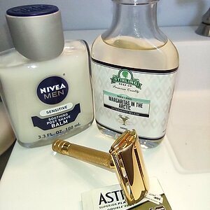 sotd_milord_02182023.jpg