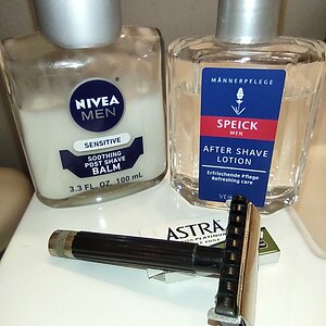 sotd_revelation_03032023.jpg